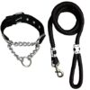 DOG TRUST Dog Combo of Rope Leash with Choke Belt Collar for Dogs - Black (Large)