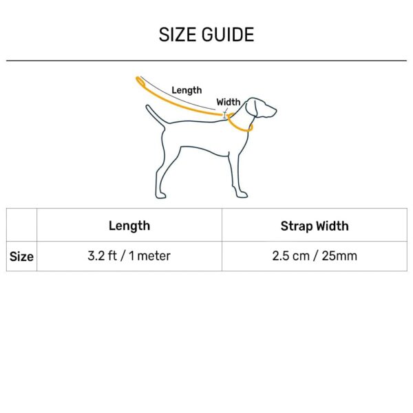 41LqIy7spSL._SL1000_.jpg Heads Up For Tails Shock Absorption Dog Leash - Orange