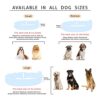 Lana Paws Santa Paws Christmas Dog Collar Belt for Medium Dogs, Adult Indies, Beagles, Cocker Spaniels & Similar