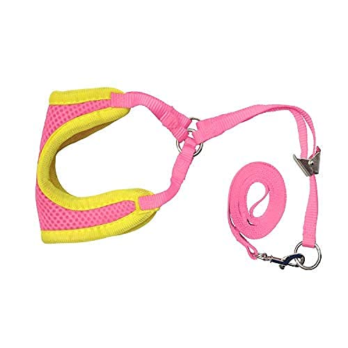 RvPaws Adjustable Soft Mesh Comfort Padded Vest Dog Harness for Small Dogs, Toy Breeds, Puppies (Color May Vary)
