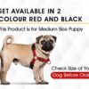 Dog Trust Puppy Dog Collar, Leash and Harness for 3-6 Months Puppies | Collar 12-18 inch, Leash 4.5 feet and Harness with Neck (16inch, Colour May Change)