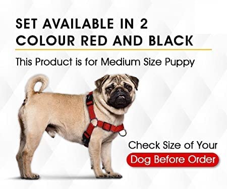 Dog Trust Puppy Dog Collar, Leash and Harness for 3-6 Months Puppies | Collar 12-18 inch, Leash 4.5 feet and Harness with Neck (16inch, Colour May Change)