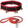 PSK PET MART Ghungroo Dog Combo Pack of Harness, Neck Collar Belt and Rope Set (Black, Medium) (Red Ghungroo)