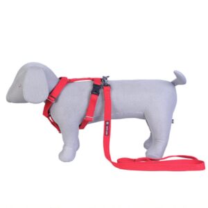 Pets Like Spun Poly H Harness with Leash Set Red (Large)