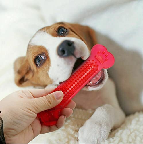 41gml96PXKL.jpg RvPaws Grinding Bite Chew Stick Silicone Transparent Flat Bone Toy for Dogs Jel Bone - Color May Vary 1 Unit