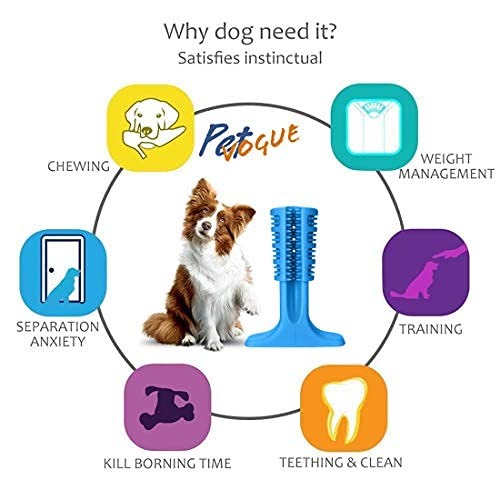 41iwq3e-OyL.jpg PSK PET MART Dog Toothbrush Stick Bristly Brushing Stick Dog Teeth Cleaning Treats Chew Toys Bite Resistant Puppy (TPR) Natural Rubber (Pack of 1)