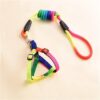 Dog Trust 10 MM Rainbow Color Rainbow Multicolor Dog Adjustable Harness/Leash/Collar for Small Dogs