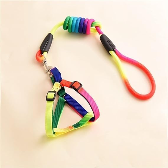 Dog Trust 10 MM Rainbow Color Rainbow Multicolor Dog Adjustable Harness/Leash/Collar for Small Dogs