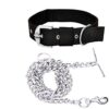 Combo: Collar, Leash, and Belt With Silver Chain for Medium Size Dogs - Width 20 MM (Large, Black)