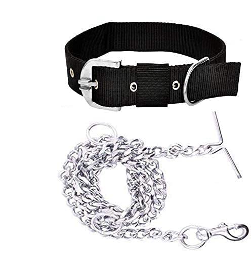 Combo: Collar, Leash, and Belt With Silver Chain for Medium Size Dogs - Width 20 MM (Large, Black)
