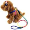 Dog Trust 10 MM Rainbow Color Rainbow Multicolor Dog Adjustable Harness/Leash/Collar for Small Dogs