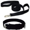 Combo: Collar, Leash, and Belt With Silver Chain for Medium Size Dogs - Width 20 MM (Large, Black)