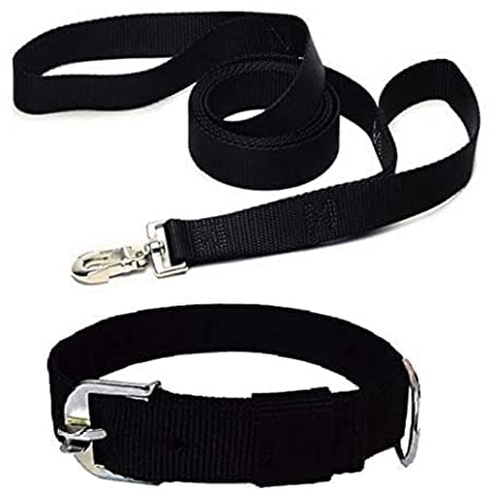 Combo: Collar, Leash, and Belt With Silver Chain for Medium Size Dogs - Width 20 MM (Large, Black)