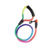 Dog Trust 10 MM Rainbow Color Rainbow Multicolor Dog Adjustable Harness/Leash/Collar for Small Dogs