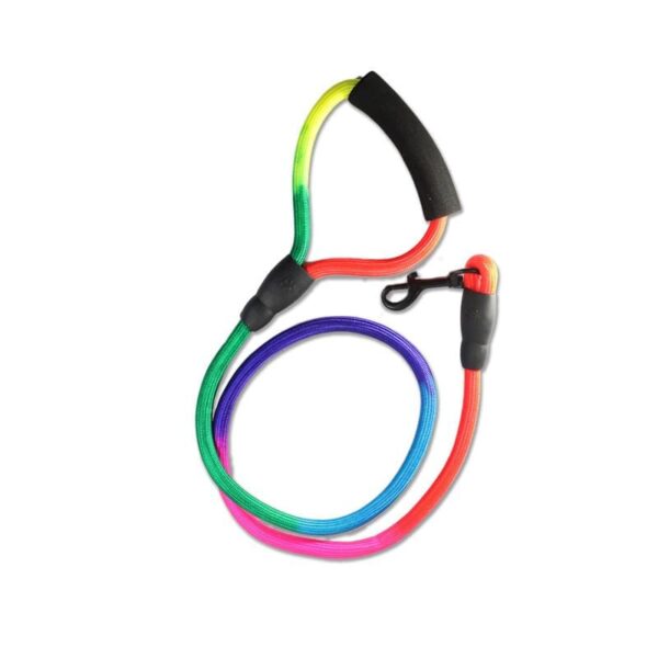 Dog Trust 10 MM Rainbow Color Rainbow Multicolor Dog Adjustable Harness/Leash/Collar for Small Dogs