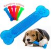 41wVn8WbCeL.jpg RvPaws Grinding Bite Chew Stick Silicone Transparent Flat Bone Toy for Dogs Jel Bone - Color May Vary 1 Unit