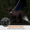 51qRb7YVeL._SL1000_.jpg Heavy Duty 5ft Long Dog Leash with Padded Handle 120 cm Dog Cord Leash for All Dogs, Durable Climbing Soften Rope Leash with Strong Metal Clasp for Night Walking (Pink)