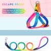 Dog Trust 10 MM Rainbow Color Rainbow Multicolor Dog Adjustable Harness/Leash/Collar for Small Dogs