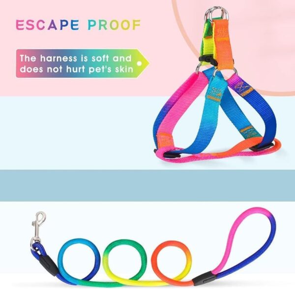 Dog Trust 10 MM Rainbow Color Rainbow Multicolor Dog Adjustable Harness/Leash/Collar for Small Dogs
