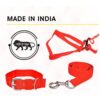 Dog Trust Puppy Dog Collar, Leash and Harness for 3-6 Months Puppies | Collar 12-18 inch, Leash 4.5 feet and Harness with Neck (16inch, Colour May Change)