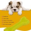 511sBLxfXkL._SL1000_.jpg PremiumAV Durable Dog Chew Toy – TPR Rubber Barbed Bone for Aggressive Chewers, Indestructible Teeth Cleaning Toy, Interactive Chew & Fetch for Strong Jaws and Dental Health