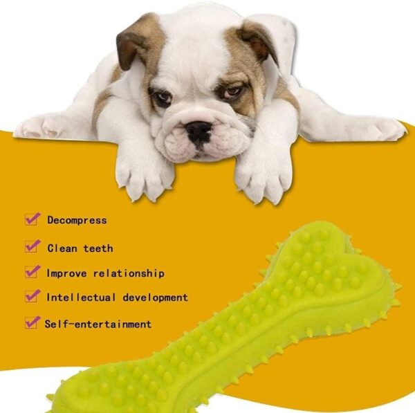 511sBLxfXkL._SL1000_.jpg PremiumAV Durable Dog Chew Toy – TPR Rubber Barbed Bone for Aggressive Chewers, Indestructible Teeth Cleaning Toy, Interactive Chew & Fetch for Strong Jaws and Dental Health
