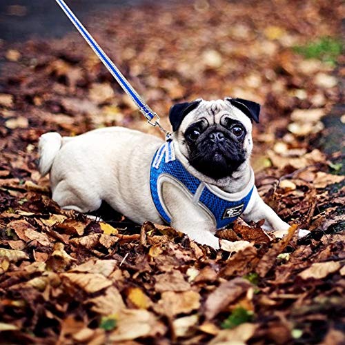 512BTY4kNAL.jpg KUTKUT Adjustable Dog Harness, No Pull for Small Dog, Reflective, Breathable & Soft Mesh Padded Step-in Vest & Leash Set for Outdoor Walking Escape Proof (Size: XL, Pet Weight 7-10Kg, Chest: 47-53cm)