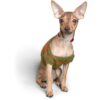 Trixie Premium Stop-The-Pull Collar, Adjustable Nylon Collar for Dogs, Made with Strong Metal Chain to Easily Slip Around Dog's Neck (S-M, Cherry RED)
