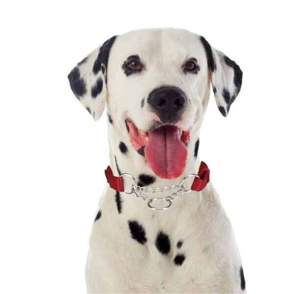 Trixie Premium Stop-The-Pull Collar, Adjustable Nylon Collar for Dogs, Made with Strong Metal Chain to Easily Slip Around Dog's Neck (S-M, Cherry RED)