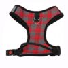 KUTKUT Adjustable & Breathable Pet Vest Harness and Leash No Choke No Pull | for Medium Dogs (Size: XL Adjustable Chest: 46 cm - 50 cm)