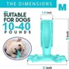 5165ECabeAL.jpg RvPaws Dog Toothbrush Chew Toys Natural Rubber Dog Tooth Cleaner Stick Puppy Dental Care Brushing Toy - Muticolor
