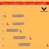 Vama Leathers Dogs British Style Training Leash Slip Leash Adjustable LengthIStrong & Durable Training Show LeashISoft Nylon RopeILeather TrimsIMade In IndiaI5 Feet X 1 CmIBlack