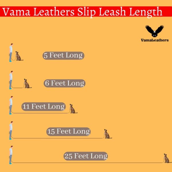 Vama Leathers Dogs British Style Training Leash Slip Leash Adjustable LengthIStrong & Durable Training Show LeashISoft Nylon RopeILeather TrimsIMade In IndiaI5 Feet X 1 CmIBlack