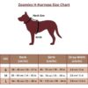 519TjIkblKL.jpg Zoomies Dog Harness – Premium Soft Padded Cotton H-Harness for Comfort and Control, Small Size, Yellow