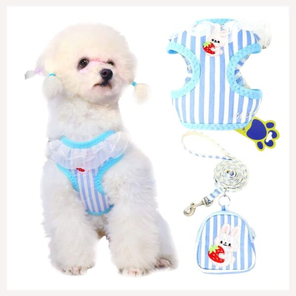 A+a Pets' Combo of 3-in-1 Backpack, Harness & Leash Set for Dogs, Puppies & Cats - Soft Breathable Cotton Cute Checks Design (S, Stripes Blue)