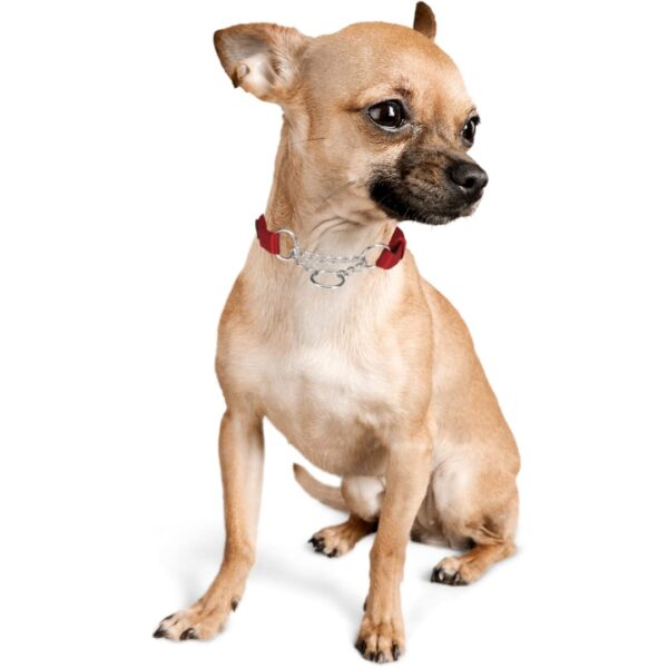 Trixie Premium Stop-The-Pull Collar, Adjustable Nylon Collar for Dogs, Made with Strong Metal Chain to Easily Slip Around Dog's Neck (S-M, Cherry RED)