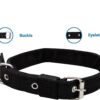 51Dv8eueS4L._SL1100_.jpg No Pull Dog Harness - Step in Dog Harness and Leash for Small Medium Large Dog - Escape Proof Adjustable Soft Leash Collar Set for Walking Training Hiking Outdoor, 15 Cm, 15 Cm
