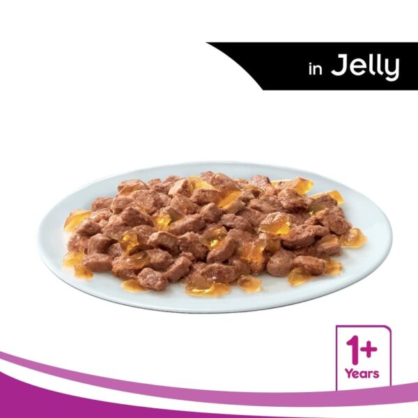 51DwzPj-jAL._SL1000_.jpg whiskas Wet Meal Adult Cat Food - Tuna In Jelly, 85G Pouch, 1 Count