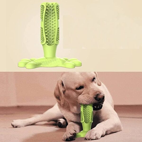 51DzxiITz-L.jpg RvPaws Dog Toothbrush Chew Toys Natural Rubber Dog Tooth Cleaner Stick Puppy Dental Care Brushing Toy - Muticolor