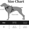 51E-w2kS7uL._SL1500_.jpg Dog Harness for Medium – Sized Dogs, Adjustable Reflective Dog Harness with Handle, Easy Control & Padded Comfort, for Walking, Training, Outdoor Use – Black