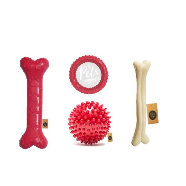 Pets Co. Rubber Dog Chew Toy Combo (6" Bone + 3" Spike Ball + 4.5" Ring + 7" Plastic Bone) | Teething Toys for Puppies & Small Dogs