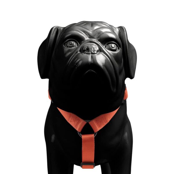 Heads Up For Tails Classic Nylon Dog H Harness - Orange - L