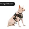 Emily Pets Dog Harness and Leash Set, No Pull Soft Mesh Pet Harness, Adjustable Puppy Vest for Small Medium Large Dogs (M)