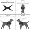 Berlin's Butterfly Dog Harness and Lease with Free Plastic Bowl Comfort, Small Dog Harness Choke Free Adjustable Pet Vest No Pull Outdoor Sport Reflective Soft Padded (Black, Large)