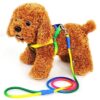 Dog Trust 10 MM Rainbow Color Rainbow Multicolor Dog Adjustable Harness/Leash/Collar for Small Dogs