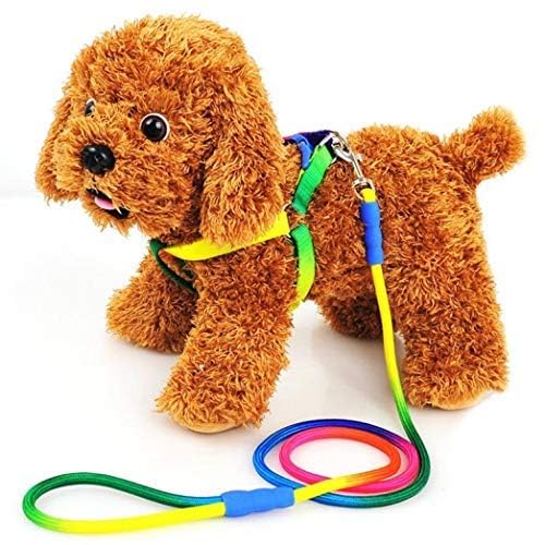 Dog Trust 10 MM Rainbow Color Rainbow Multicolor Dog Adjustable Harness/Leash/Collar for Small Dogs