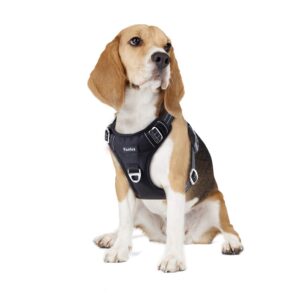 Funfox Dog Harness Medium Sized Dog, No Pull Dog Vest Funfox Dog Harness Medium Sized Dog, No Pull Dog Vest Adjustable, Comfortable Breathable Material Reflective Strips with Metal Clip for Control Easy Walking for Medium Breed Dogs Black