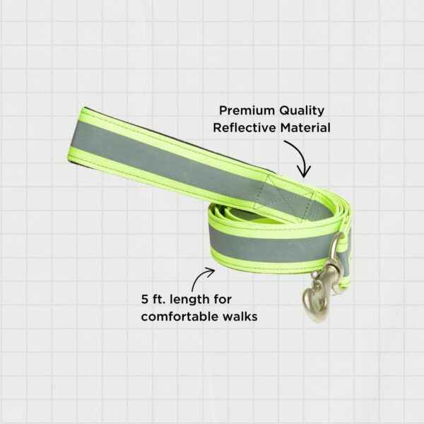 PetWale Dog Leash with Padded Handle | Suited for Walking, Running, Training & More | Reflective Green Nylon | Easy to Clean & Maintain | Durable & Sturdy | L: 5 feet, W: 1 inch