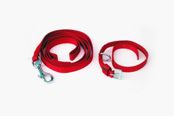 MUNCHOS Dog Nylon Leash and Collar Set for Small Dogs (0.75-inch)