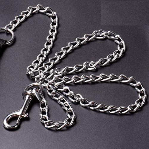 PSK PET MART Heavy Duty Dog Leash Metal Dog Leash Dog Chain with Padded Handle (Large, Blue)